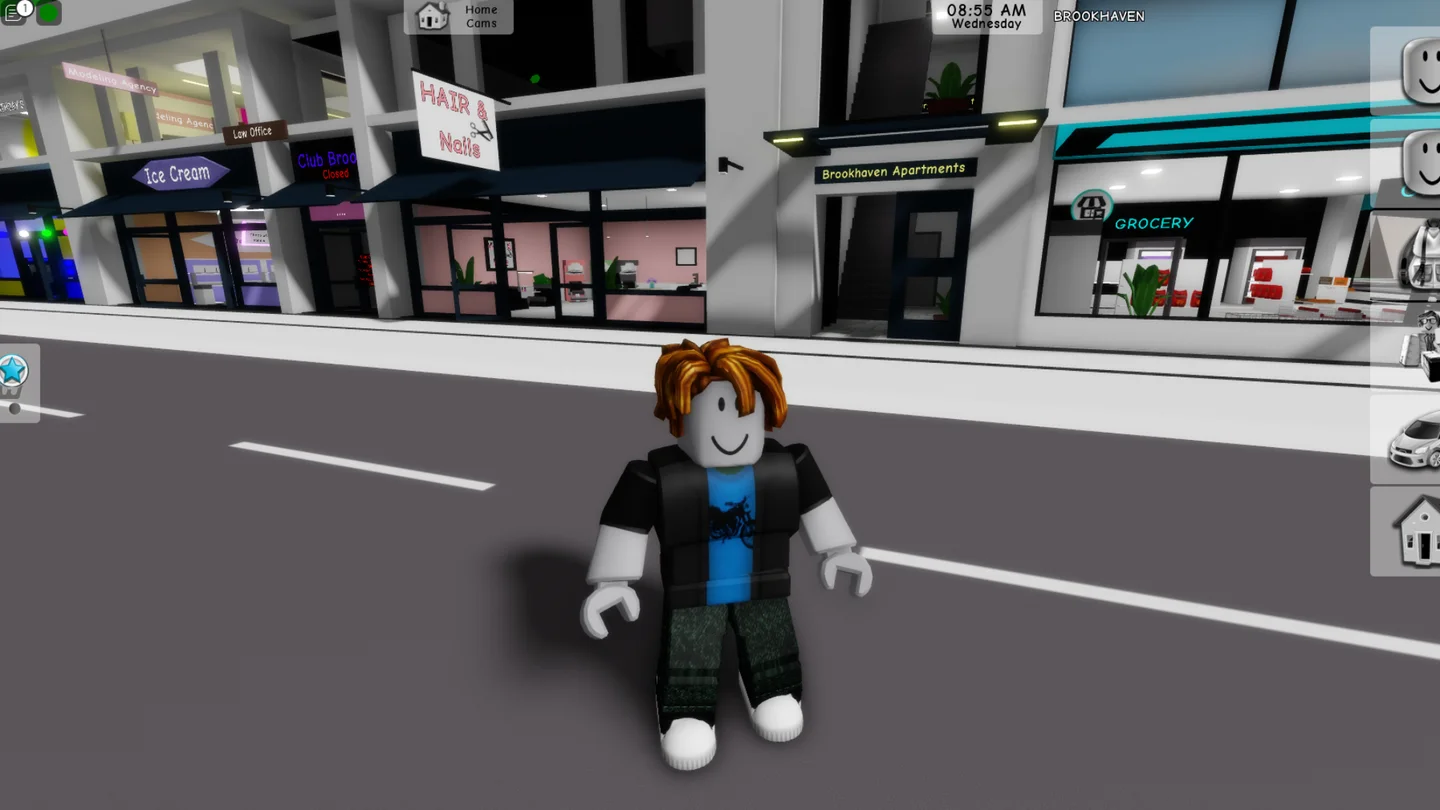 Cara Mengatasi Lag Roblox