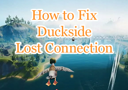 How to Fix Duckside Lost Connection
