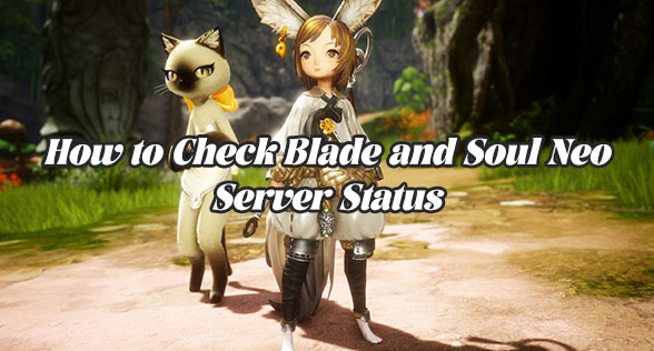 How to Check Blade and Soul Neo Server Status