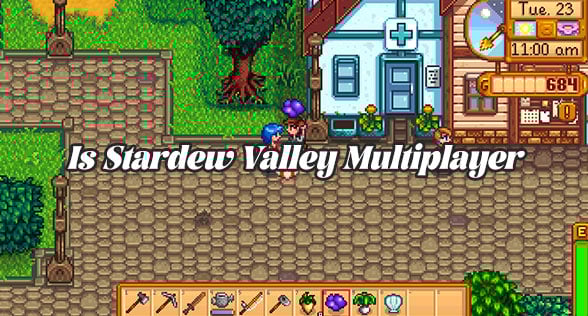 Is Stardew Valley Multiplayer