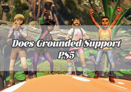 Does Grounded Support PS5