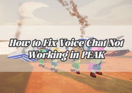 How to Fix Voice Chat Not Working in PEAK