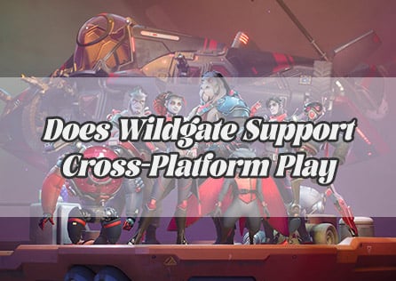 Does Wildgate Support Cross-Platform Play