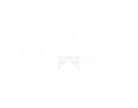 OnceHuman